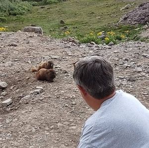 Meet your Posher, Bonnie